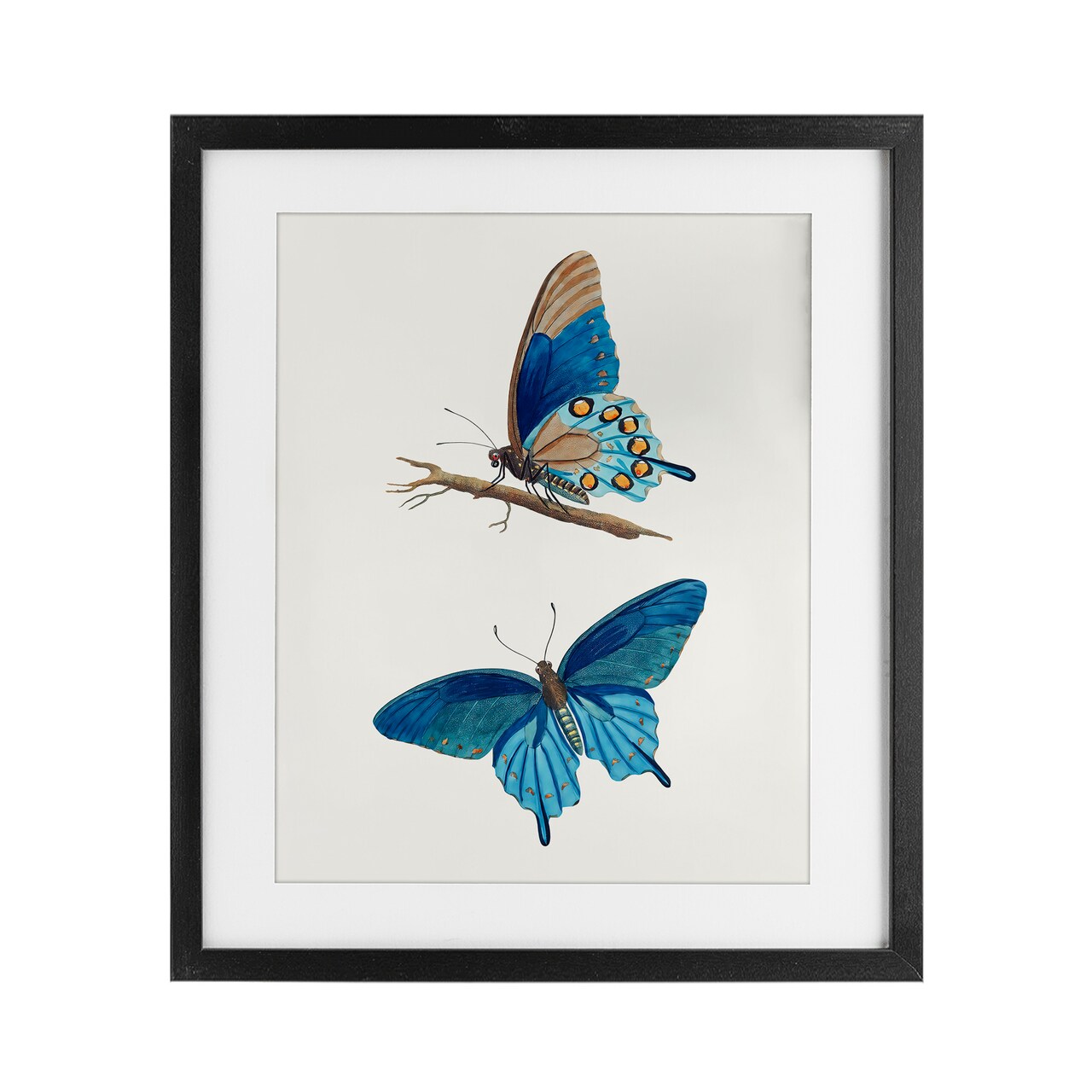 Stupell Industries Blue Butterflies Pair Framed Print Under Glass, design by Arlington Prints
